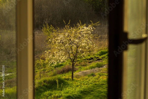 Fototapeta field with a window