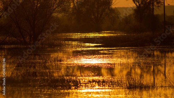 Obraz sunset over lake