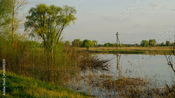 Fototapeta lake in the forest