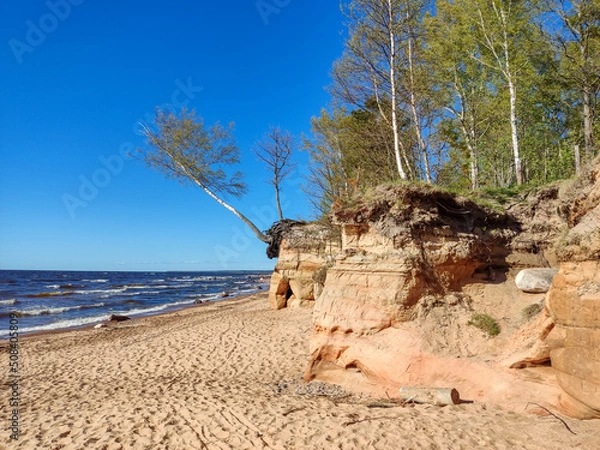 Fototapeta Veczemju Klintis, Veczemju Cliffs on Baltic Sea Near Tuja, Latvia. Beautiful Sea Shore With Limestone and Sand Caves. Calm, Relaxing, Meditation Nature. Concept of Romantic Evening and Holidays
