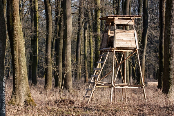 Fototapeta high hunting seat