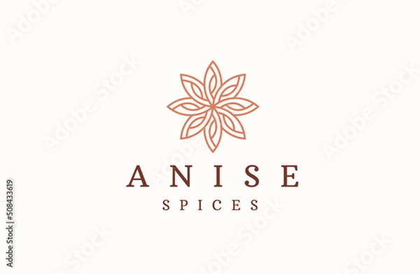 Obraz Star Anise logo icon design template flat vector