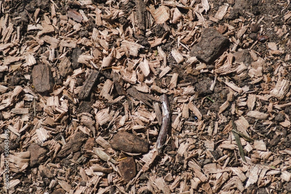 Obraz Chunks of wood on the ground closeup. Sawdust background image or texture. Wood treatment waste