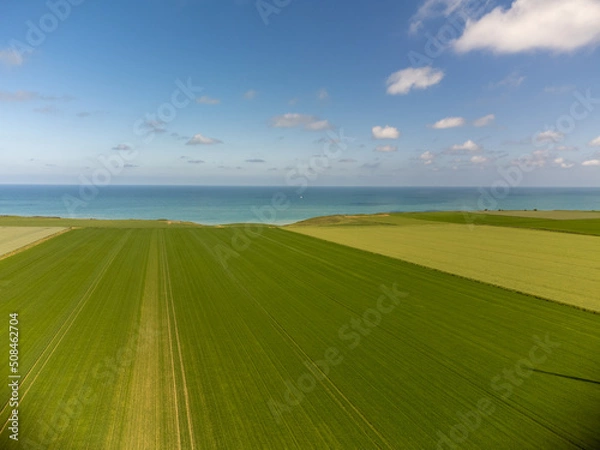 Fototapeta Aerial view on green grain fields and blue Atlantic ocean in agricultural region Pays de Caux in Normandy, France