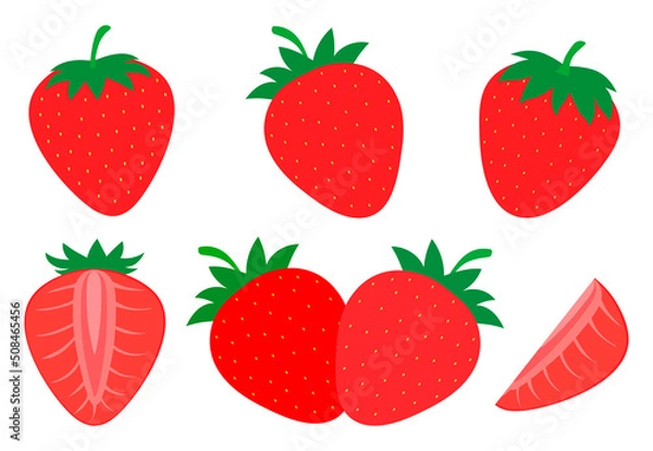 Obraz Set strawberry slices vector Illustration