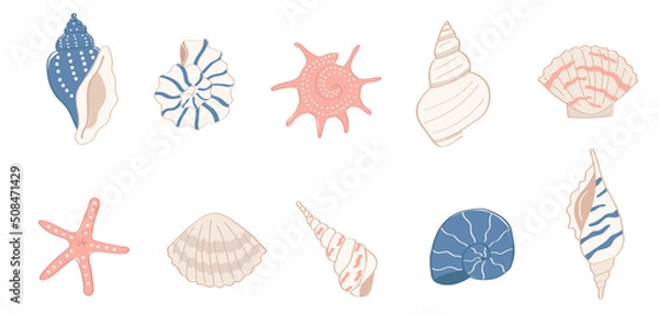 Fototapeta A set of colorful cartoon style sea shells