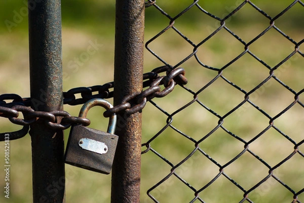 Fototapeta in the photo, a metal fence, a mesh chain and a lock
