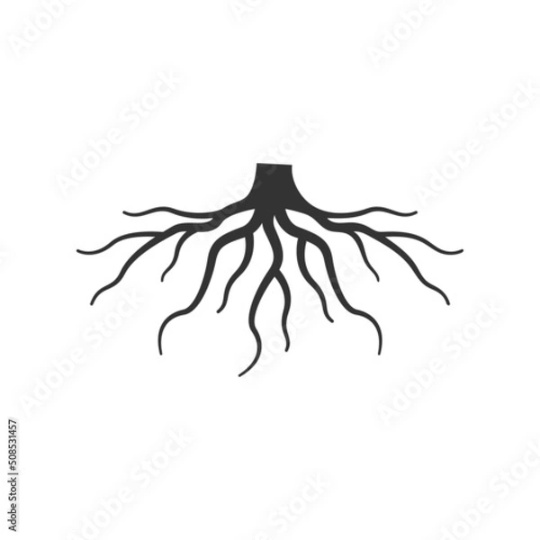 Obraz root  logo icon design vector