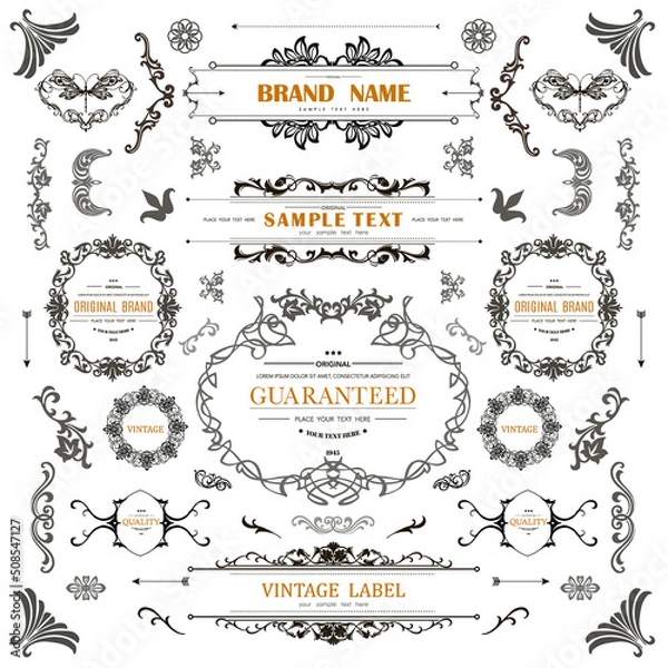 Obraz Set of Vintage Decorations Flourishes Elements. 