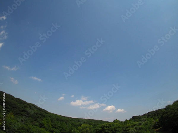 Fototapeta 初夏の緑と青空