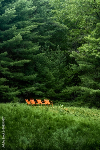 Fototapeta Chairs in a Forest