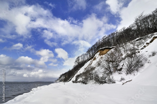 Obraz Küste im Winter