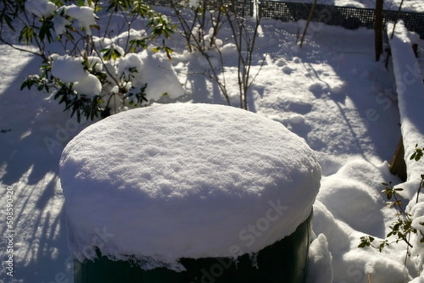 Obraz Schneehaube auf Stein