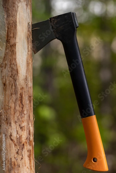Fototapeta Ax stuck in a tree