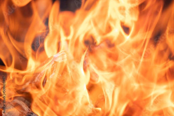 Obraz Flame of fire. Background. Texture