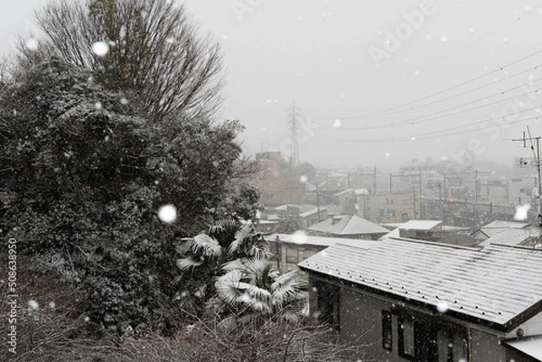 Obraz 木々と家の雪景色