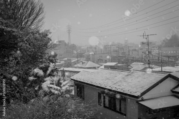 Obraz 木々と家の雪景色