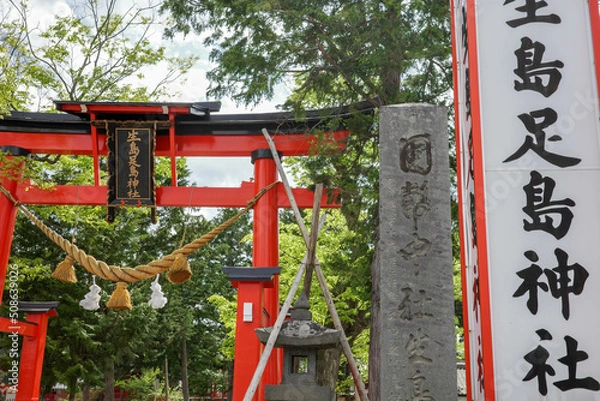 Obraz 新緑と赤い鳥居