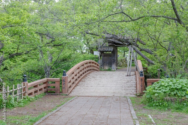 Obraz 新緑の緑と橋