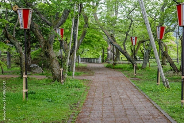 Obraz 新緑の木々と公園の道