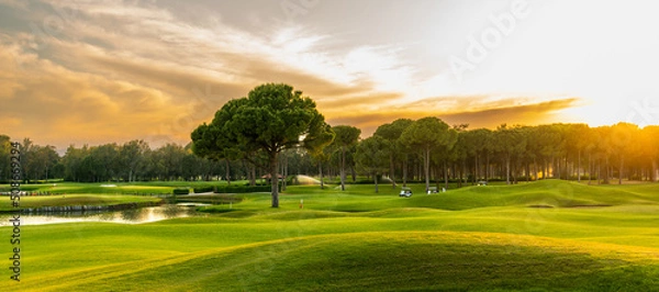 Fototapeta Golf course at sunset with beautiful sky. Scenic panoramic view of golf fairway. Golf field with pines