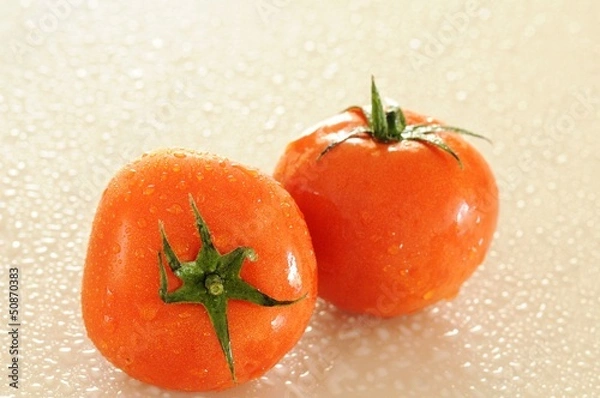 Obraz isolated red tomatoes