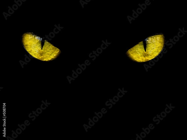 Fototapeta Czarny kot z zielonymi oczami