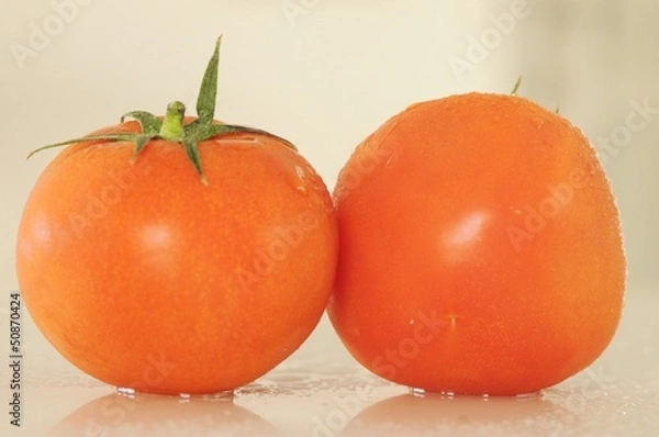 Obraz isolated red tomatoes