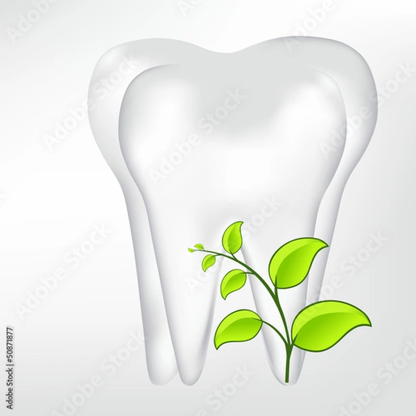 Fototapeta tooth design element. vector mesh illustration