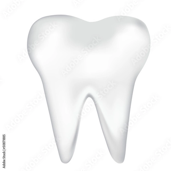 Fototapeta tooth design element. vector mesh illustration