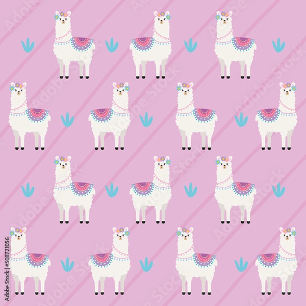 Fototapeta llamas perubian animals pattern