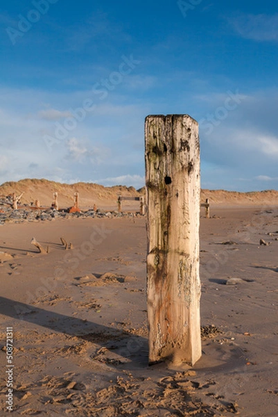 Obraz Old wooden groyne at crow point beach, Devon, UK