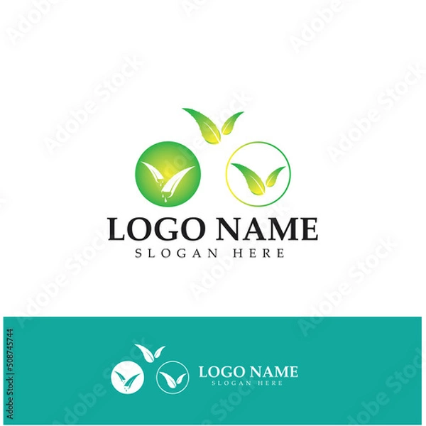 Fototapeta aloe vera logo design icon vector