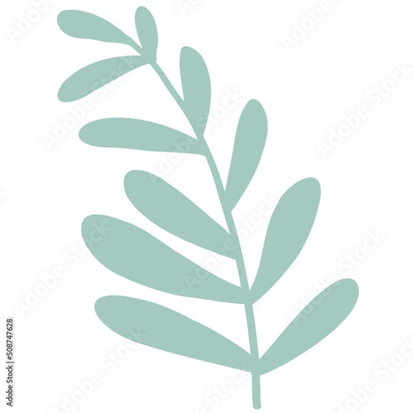 Fototapeta Hand drawn abstract organic leaf. Doodle botanical elements illustration.