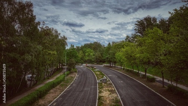 Obraz railway in the forest
