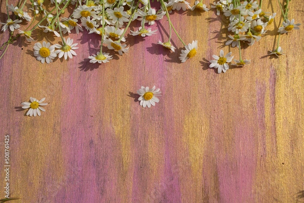 Obraz flowers on wooden background