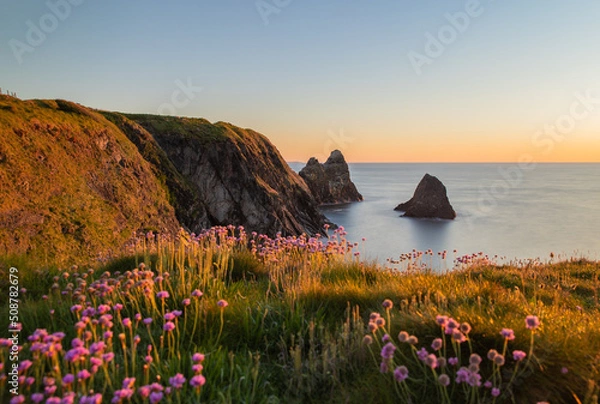 Obraz The coast of Ceibwr in Pembrokeshire, Wales with pink sea thrift