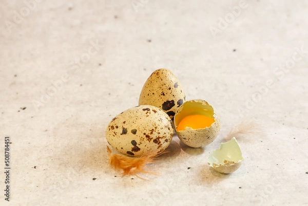 Fototapeta Quail eggs on a light background.Copy space