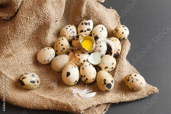 Obraz Fresh quail eggs on a dark background