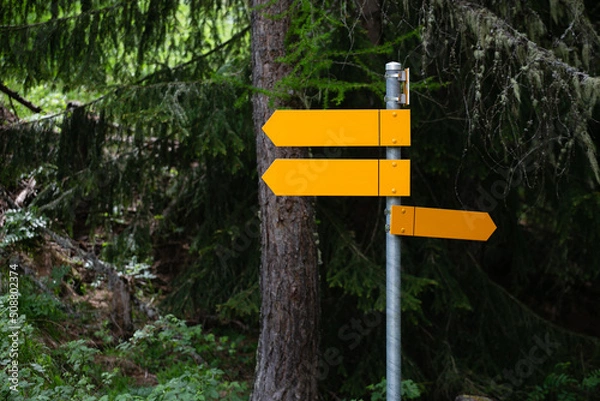 Fototapeta Yellow empty signboards in hiking and trekking route in a forest, Swiss Alps.