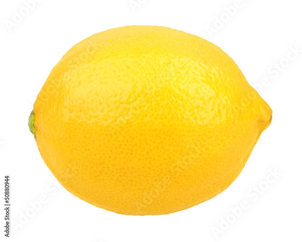 Obraz Single fresh yellow lemon