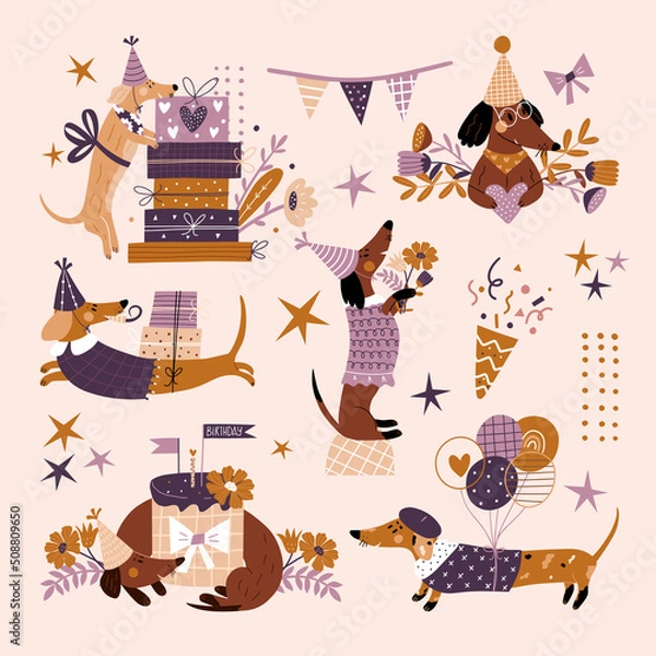 Fototapeta Vector set of illustrations with a dachshund on a white background. Festive illustrations with cute dog, flowers, cake and gift boxes. Vector illustration in vintage style