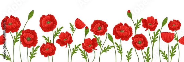 Obraz Vector horizontal seamless pattern with red poppies on a white background. Banner with beautiful summer flowers.	