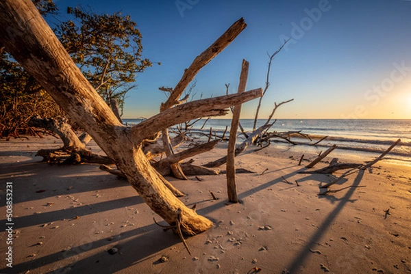 Obraz after the storm