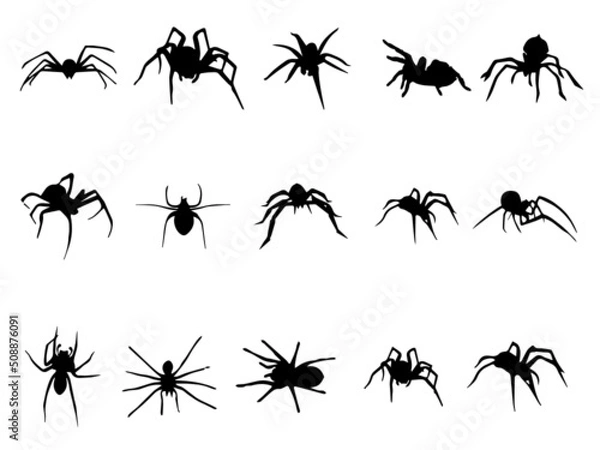 Fototapeta Spider Royalty Free Vector Image. Black Spider Vector. simple spider vector. Black widow spider Vector