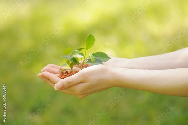 Fototapeta エコイメージ