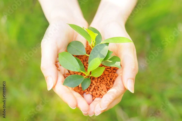 Obraz エコイメージ