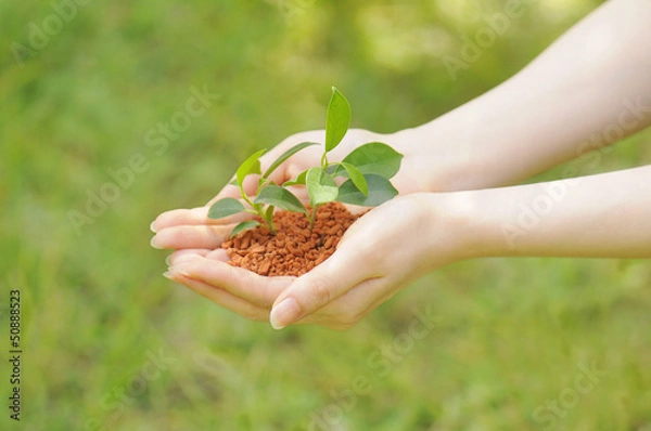 Fototapeta エコイメージ