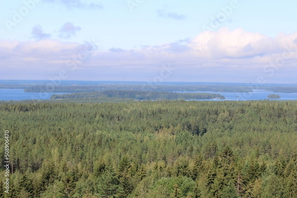 Fototapeta landscape with grass and sky