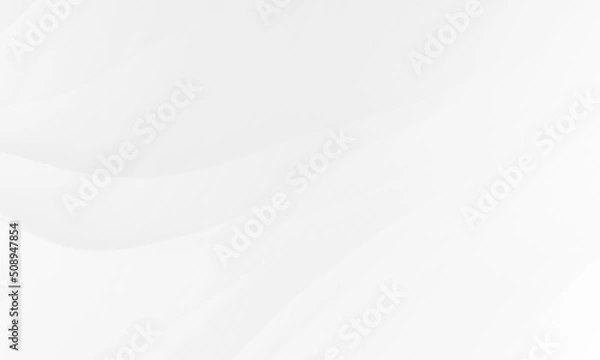Obraz Abstract white gray colors gradient with wave lines pattern texture background. Use for modern design business concept.